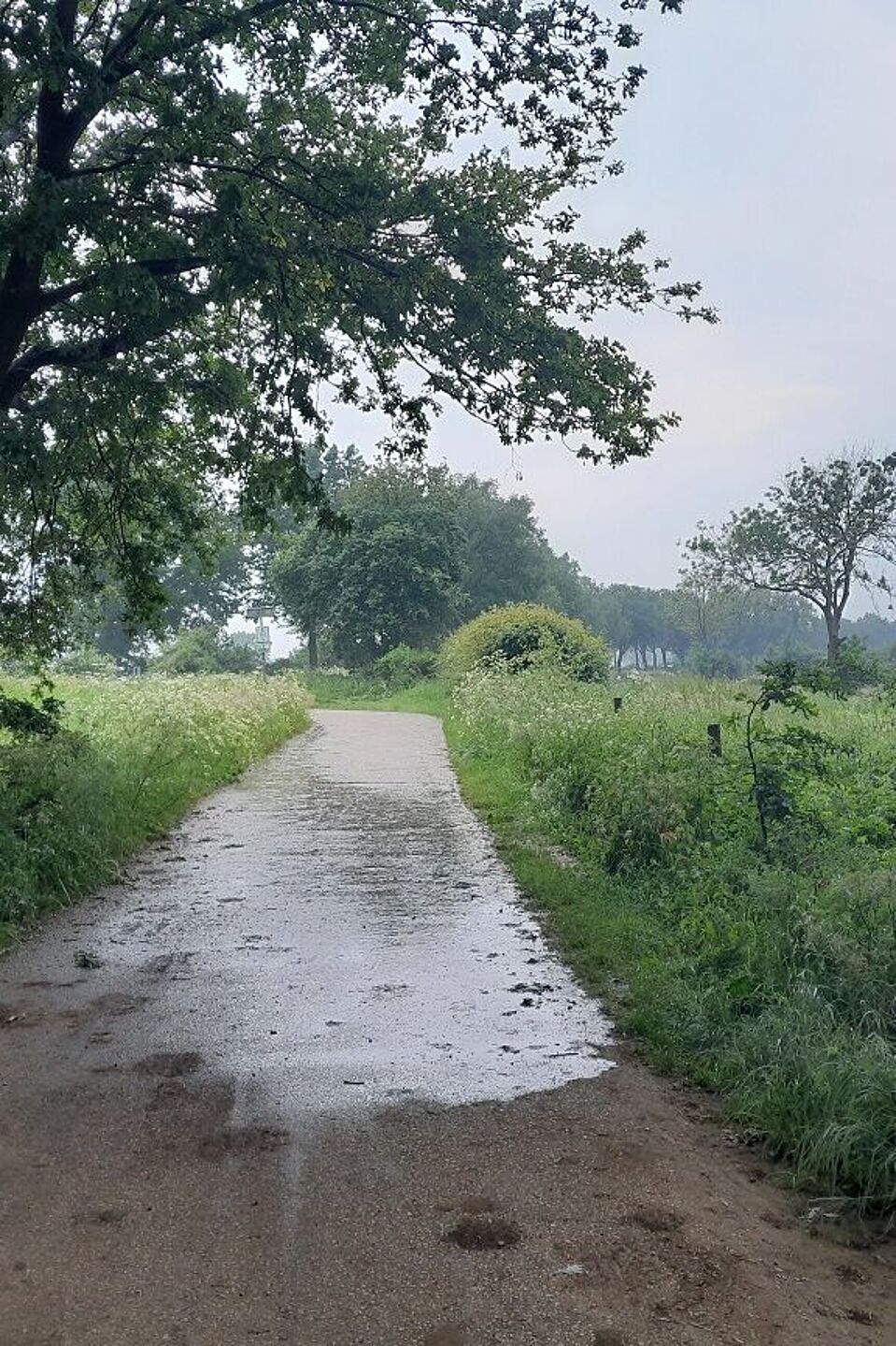 kurze Regenpause unter einer Autobahnbrücke  kurze Regenpause unter einer Autobahnbrücke