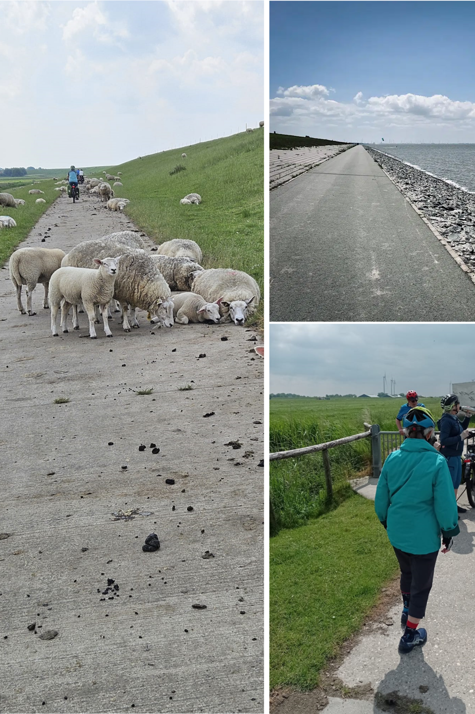 Am Deich entlang Am Deich entlang