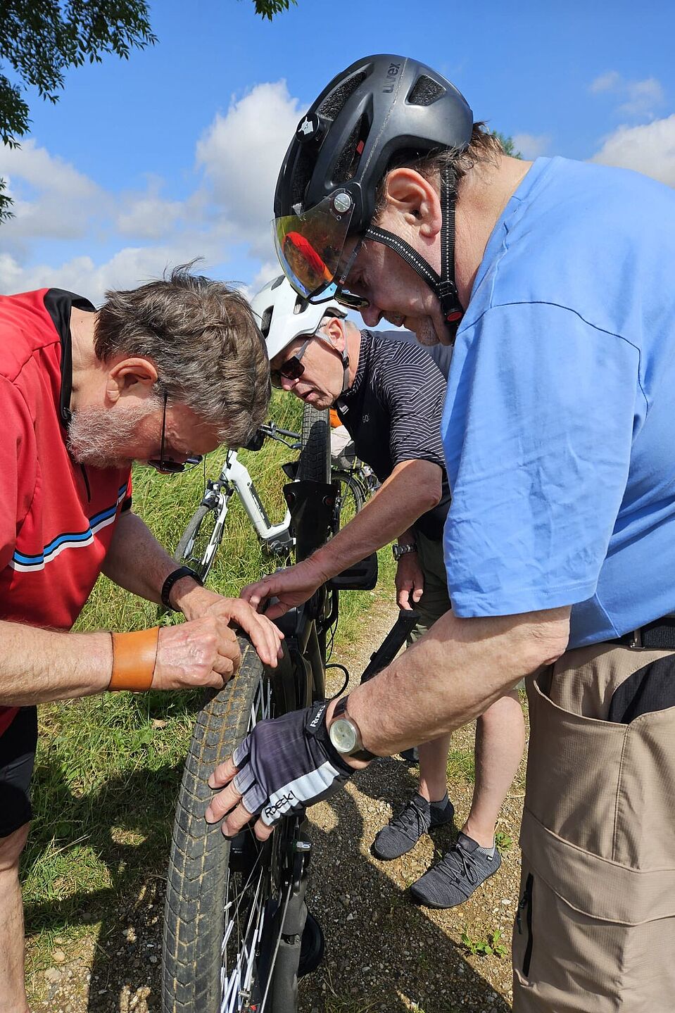 Platten am Elbe-Lübeck-Kanal Platten am Elbe-Lübeck-Kanal